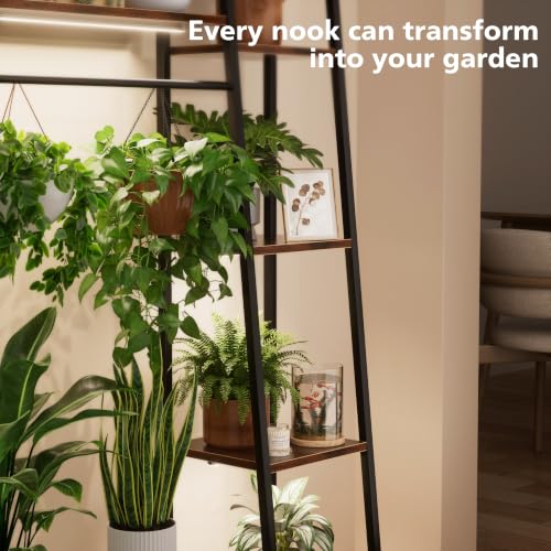Image of BACEKOLL Plant Stand Indoor with Grow Lights, 6 Tiered Metal Plant Shelf, 55 inch Large Plant Stand for Indoor Plants Multiple, Corner Plant Holder Display Shelf, Tall Plant Rack for Living Room, Patio