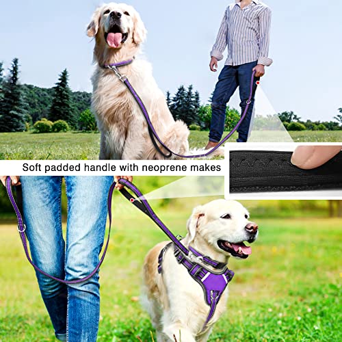 Pet Harness Collar and Leash Set, All-in-one Reflective Dog Harness No Pull with Adjustable Buckles for Puppies, Small, Medium, Large, and Extra-Large Dogs (Large, Rosy) - Image 6