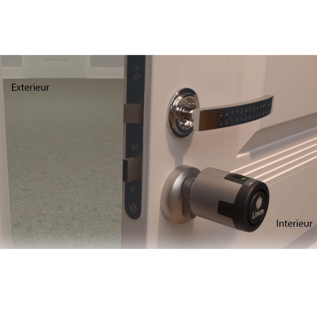 Lince - Cilindro CPLUS ALARM 30x30 cm | Bombillo de Alta Seguridad con Sensor Alarma Integrado de 100dB | Protección Anti-Bumping y Anti-Taladro | Incluye 5 Llaves XL | Acabado latón