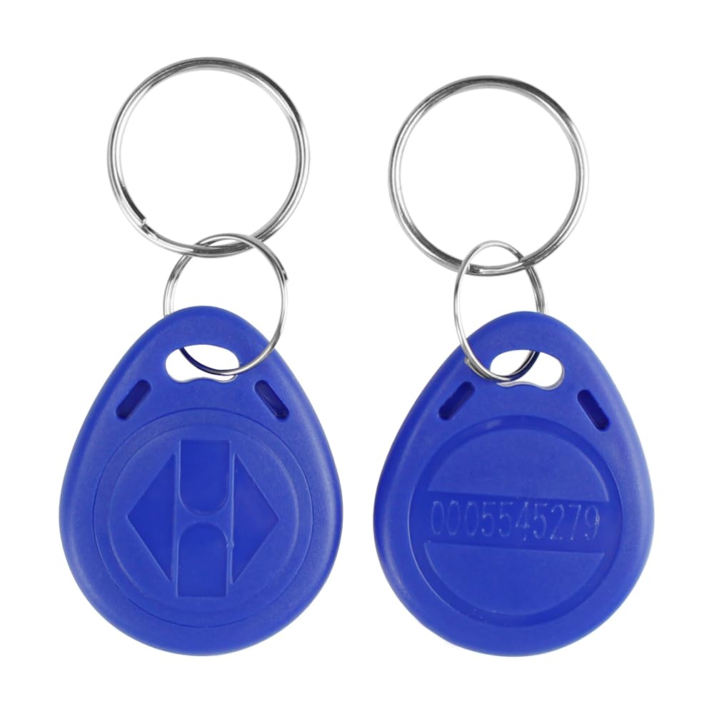 Lot de 100 porte-clés inductifs RFID 125 kHz - Peut lire et réécrire - NFC - Convient pour système de contrôle d'accès d'entrée de serrure de porte