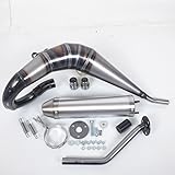 Pot d échappement GIANNELLI compatible avec Moto Rieju 50 MRX 2002 à 2005 34601HF/34602HF