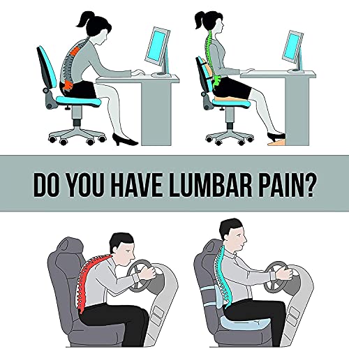 Image of ZAXTY Back Rest Lumbar Half Support for Chair Back Pillow for Car Best Use For Office Home Travel Cars Seat Provides Low Back Support Improves Posture Provides Comfort |Blue|Universal