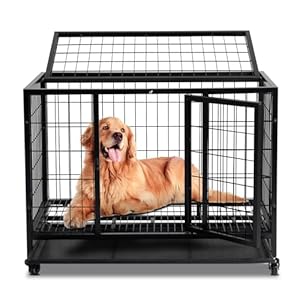 LEADZM Cage pour Chien Pliable XL 91x62x70cm – Chenil avec 2 Portes & Roues Verrouillables 360° – Bac en Plastique Amovible et Structure Métal Renforcé Noir