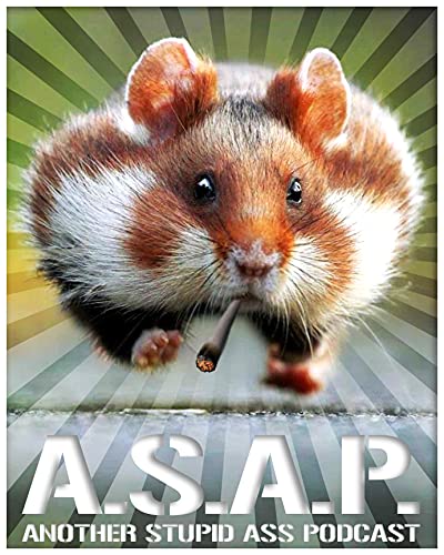 Another Stupid Ass Podcast cover art