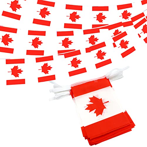 Image of Anley Canada Canadian String Pennant Flags, Patriotic Events July 1st National Canada Day Dominion Day Celebration Decoration for Sports Bars - 33 Feet 38 Flags