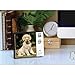 Just Goldens 2020 Box Calendar (Dog Breed Calendar)