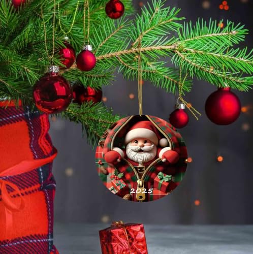 2025 Christmas Tree Fun Santa Claus Decorations, Christmas Ornaments 2025,Painted Glass Style, Unique for Adults,Acrylic Hanging Decorations