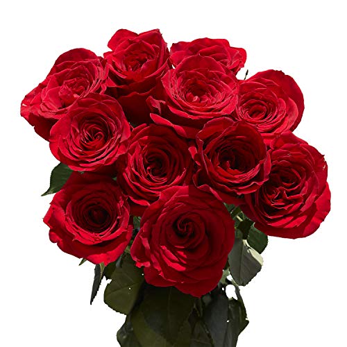 2 Dozen Red Roses For Mothers Day- Fresh Flowers- Beautiful Gift #TOP18