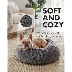 Calming-Donut-Bed-for-Dogs-and-Cats-Ultra-Soft-Circle-Bed-Cozy-Waterproof-Zipper-Cover-23-in-Bed-Small-Dog-Bed-Gray - Cucciolini Doodles   Calming-Donut-Bed-for-Dogs-and-Cats-Ultra-Soft-Circle-Bed-Cozy-Waterproof-Zipper-Cover-23-in-Bed-Small-Dog-Bed-Gray