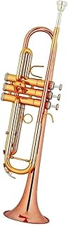 Student Brass Trumpet Musical Instrument Trumpet Professional Playing Phosphor Copper Mouthpiece Tube White Copper Sound Change Tube