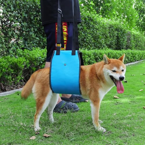 MHwan Tragehilfe Hund, Hundefreundliches blaues Design mit Verstellbarer tragegurt Hund, die behinderten und älteren Hunden beim Spazierengehen sicheren Halt bietet, treppenhilfe für Hunde (L)