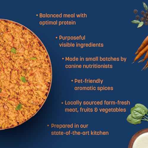 Image of Sara's Wholesome by HUFT Flavours of India Chicken Biryani Wet Dog Food - 100 gm (Pack of 10) | Value Pack | Real Chicken Recipe | Complete & Balanced Nutrition for Dogs of All Breeds