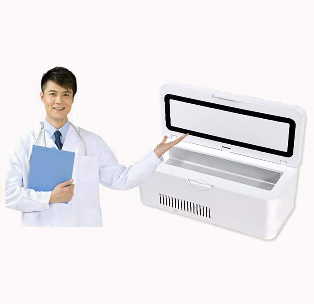 Buy FZ FUTURE Insulin Cooler Refrigerated Case, Portable Cold Storage