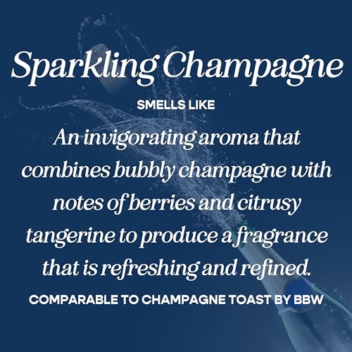 Image of CANDECraftCo Car Air Hanging Fragrance Oil, Car Auto Freshener for Essential Oils, Scents Fragrance Aromatherapy Automobile Diffuser, Long Lasting (Berry Mimosa + Champagne)