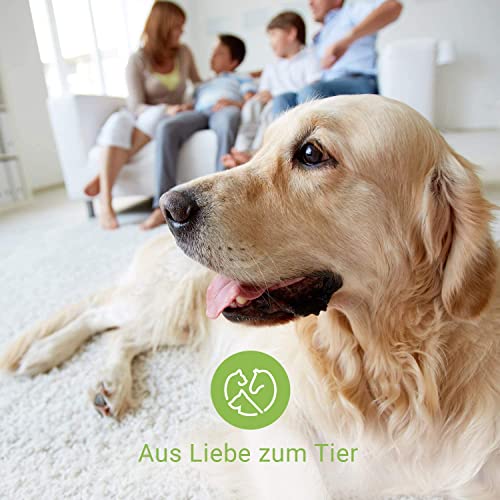 Nutrani Bienenwachs Pfotenbalsam für Hunde & Katzen von ManuCo | Pfotenschutz, 100% natürlich, Pfotenpflege, Pfotenbutter, Wundschutz, Pfotenheilmittel - 40 ml