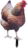 Estatuas de gallo de jardín, resistentes a la intemperie, decoración de pollo al aire libre, estatua de pollo acrílica, césped, patio, decoración del hogar para granja, normal