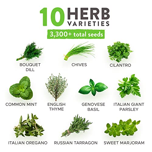 10 Culinary Herb Seeds - Non-Gmo, Heirloom Seeds - 3000+ Seeds For Planting For Outdoor Or Indoor Herb Garden, Basil, Cilantro, Parsley, Chives, Thyme, Oregano, Dill, Marjoram, Mint, Tarragon #TOP1