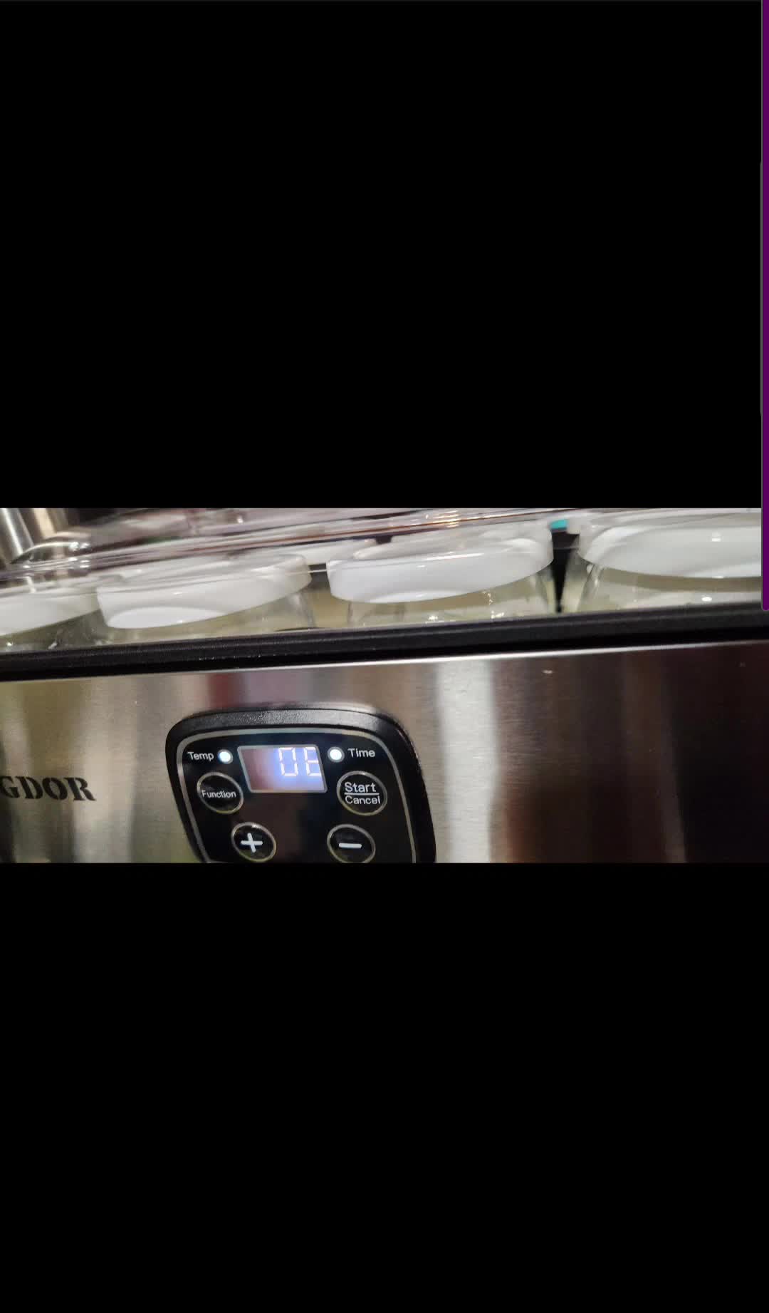 Yogurt jars with white lids inside the GDOR Yogurt Maker