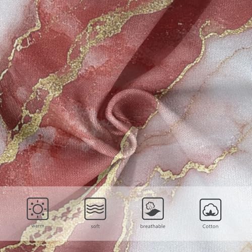 Sport Panties Breathable Panties Breathable Underwear for Kid in Sizes 2T,3T, 4T, 5T, 6Y and 8Y3