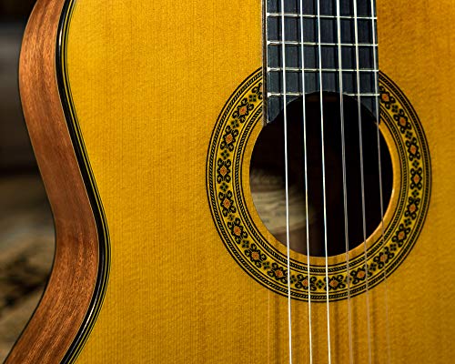 Washburn Classical C40, Acoustic Guitar #TOP6