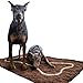 Soggy Doggy 36-Inch by 60-Inch Microfiber Chenille Doormat for Wet Dog Paws, Brown, Extra Large