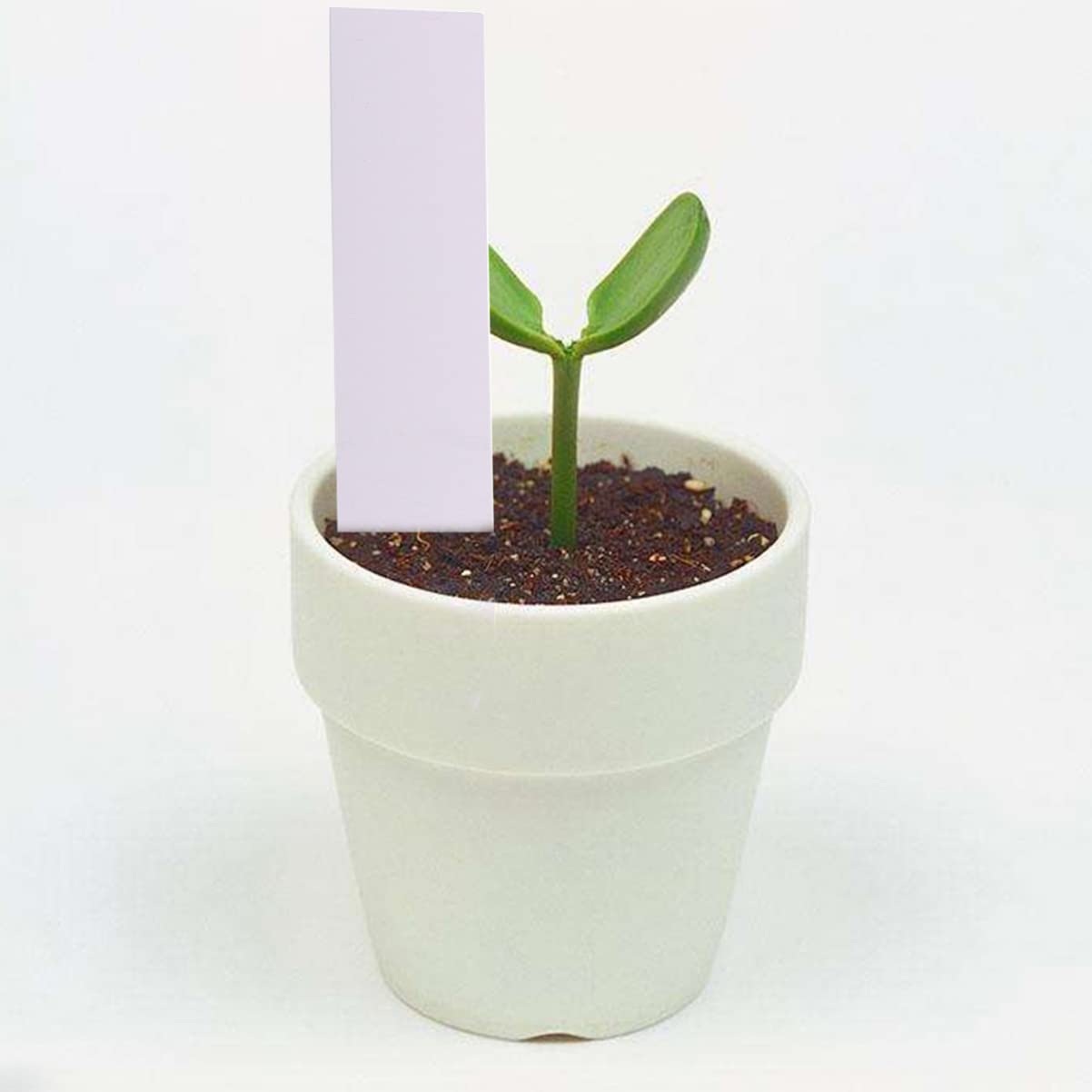 Toddmomy 600pièces Étiquettes De Jardin Colorées De Pour Plantes Plastique Étiquettes Réutilisables Pour Pot Et Jardinage