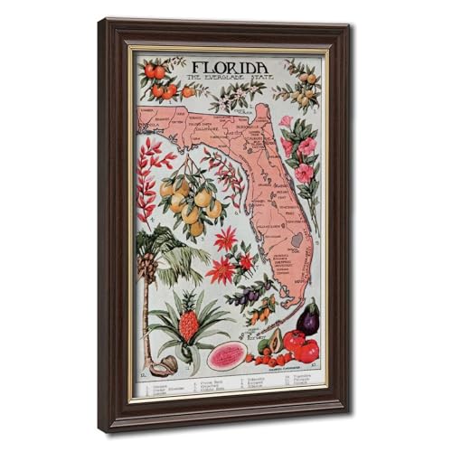Carte de Floride 1917 vintage idée cadeau idoine pour bureau d'historien