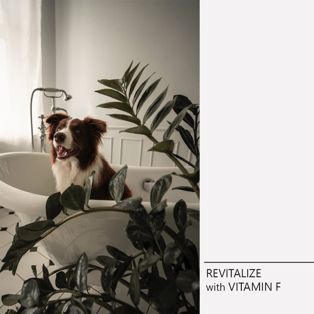 Caviar Mix Nutritive Lotion - Spray für Hunde und Katzen - 100 ml - Hilft bei der Aufrechterhaltung einer richtigen Feuchtigkeit - Hygieneartikel für Hunde - hergestellt mit natürlichen Extrakten