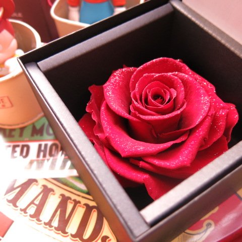 Amazon | 赤バラ プリザーブドフラワー フラワーギフト ダイヤモンド