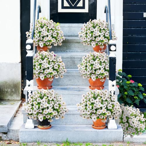 Image of Bassion 24 Bundles Artificial Flowers for Outdoors Fake Flowers, White | UV resistant, silk flowers, realistic faux plants for outdoor planter, window box porch patio garden home outside decor