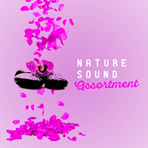 Amazon MusicでNature Sound SeriesのNature Sound Assortmentを再生する
