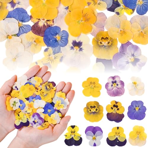 50 Pcs 10 Kinds Natural Dried Pressed Edible Flowers for Cake Topper
