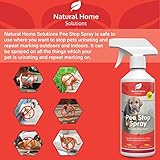 Pee Stop Spray Big Value 1L Urine Stop for Cat Dog Enzyme Urine Destroyer Repellent Stop Cats Dogs Repeat Marking Indoors Outdoors 100% Natural - Image 4