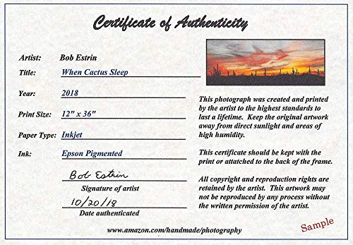 Panoramic Photograph Of Vintage Trolling Outboard Boat Motors And Propellers At A Nevada Ghost Town. Panorama Photo Perfect For Fisherman #TOP4