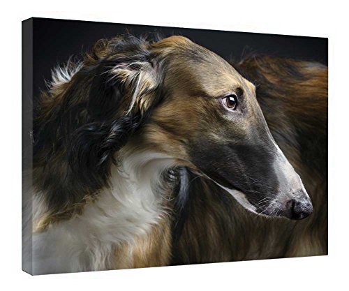 Impression sur toile Borzoi haut de gamme avec cadre bois véritable 40x50cm