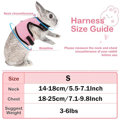 2 Stück Kaninchen Leine, Blau & Rosa Einstellbar Hasenleine, Elastisch Kaninchen Geschirr, Kaninchengeschirr mit Leine für Kleintiere, Kaninchen Zubehoer