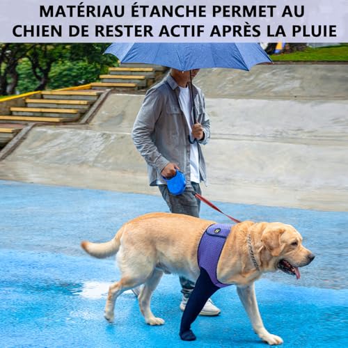 Bottes de Soin pour Chien COODEO Protecteurs de Pattes de Qualité - 8