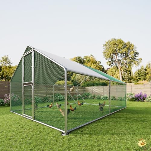 Amopatio Metal Coop