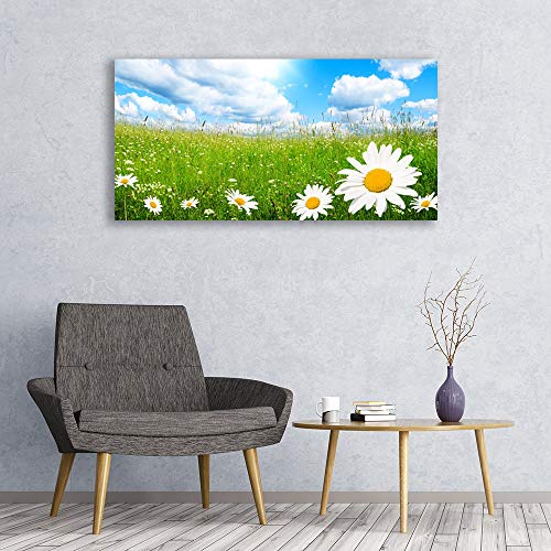 Tableau Mural Moderne Verre Acrylique 120x60cm Plastique Imprimé Daisy - 3