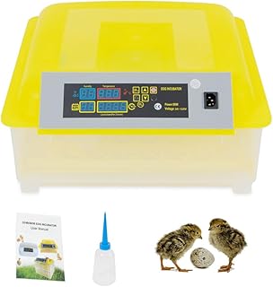 CROSSDESIGN Automatic Digital Egg Incubator 48 Eggs Poultry Hatcher Machine Breeder w/Temperature Control & Auto Turning for Hatching Chicken Duck Goose Quail Birds