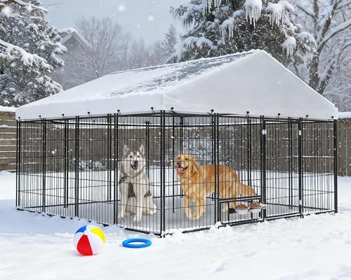 Yafylly 10×10×6 FT Large Outdoor Dog Kennel for Large Dogs - Heavy Duty Dog Kennel Outdoor with Roof, Covered Dog Kennels with Feeding Door and Double Lock