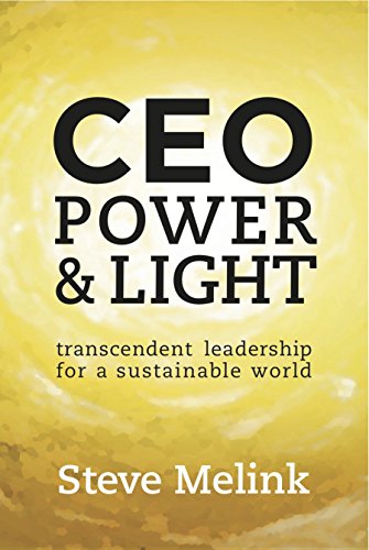 CEO Power & Light 0986423858 Book Cover