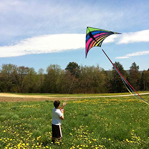 Mint's Colorful Life Rainbow Delta Drachen für Kinder Erwachsene & anfänger – Ansicht 2
