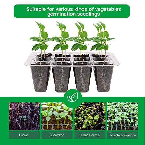 4 Stücke gewächshaus klein, Zimmergewächshaus Anzuchtkasten, Mini Gewächshaus Anzucht Set, Kunststoff Anzuchtschalen mit Gartengeräte Klein und Pflanzenetikett, 12 Löchern - Grün