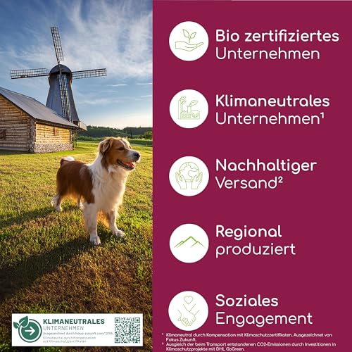 Wolfsbacher Verdauungs-Snack für Hunde - 125 Leckerlis mit präbiotischer Hefe & Kräutern | 100% natürlich | Unterstützt Darmflora & normalen KOT | 125 sanfte Hundesnacks