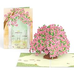 Bougainvillea Garden