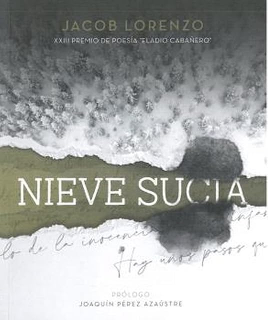 Portada de Nieve sucia