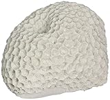 Deep Blue Professional ADB80031 Brain Coral for Aquarium, 3 by 2.5 by 2-Inch
