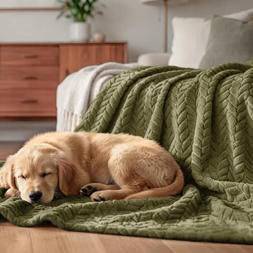 Image of Exclusivo Mezcla Fleece Throw Blanket for Couch Sofa, 50 inchx70 inch, Olive Green