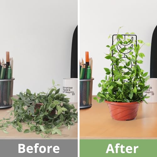 Moon-Phase-Plant-Trellis-3-Pack-1425-Inch-Small-Trellis-for-Potted-Plants-Metal-Plant-Trellis-for-Climbing-Plants-Indoor-Black Moon Phase Plant Trellis 3 Pack 1425 Inch Small Trellis for Potted Plants Metal Plant Trellis for Climbing Plants Indoor Black